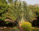 Arumeru River lodge, their beautiful garden